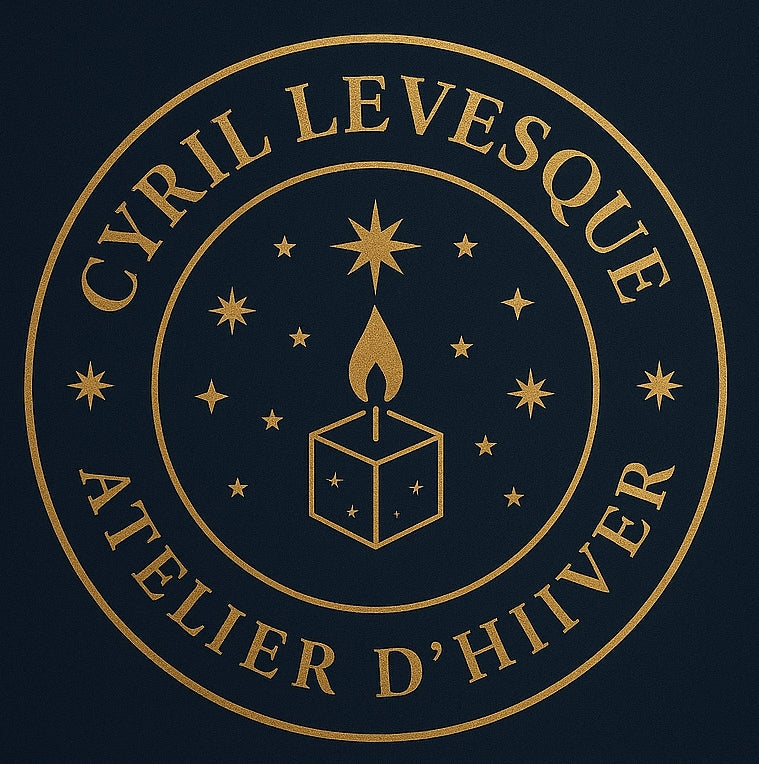 Atelier d'hiver : les décorations de Noël